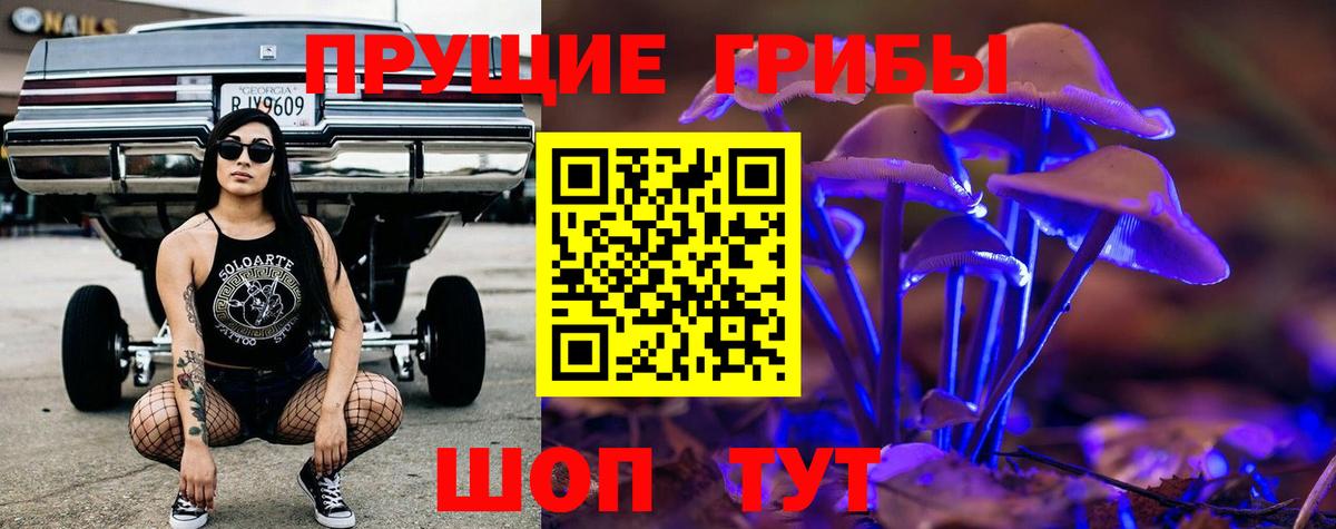 Галлюциногенные грибы мицелий  Вход с VPN  Солнечногорск 