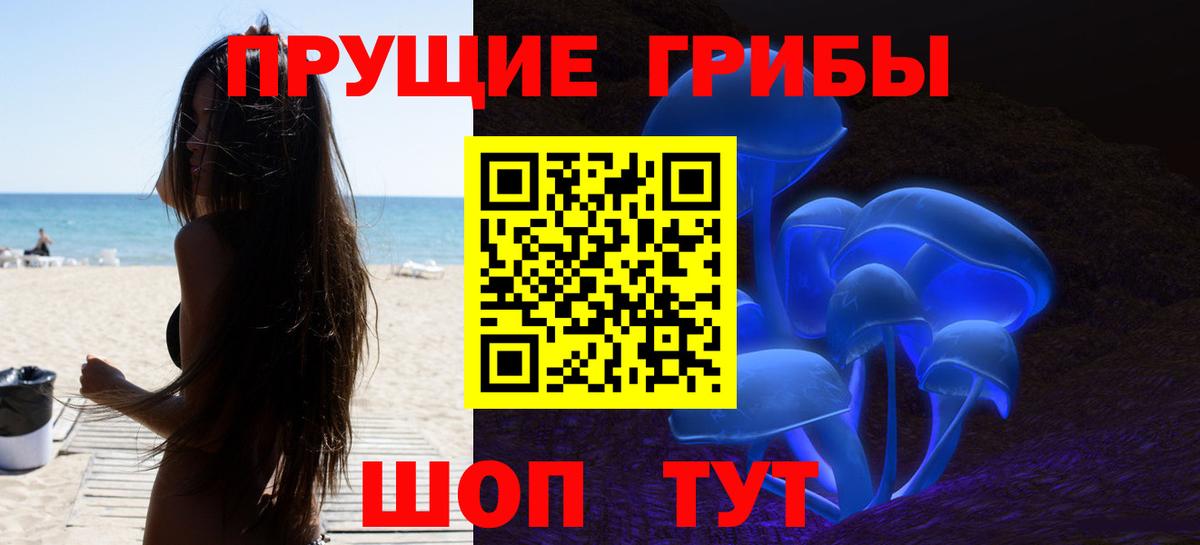 Галлюциногенные грибы Cubensis Солнечногорск